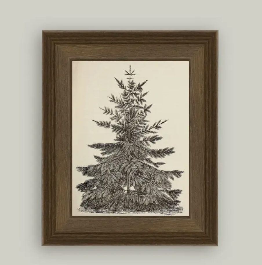 Vintage Pine Tree