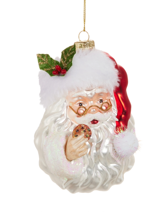 Santa with Cookie Ornament