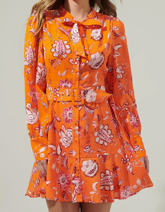 Cosmo Floral Flare Dress