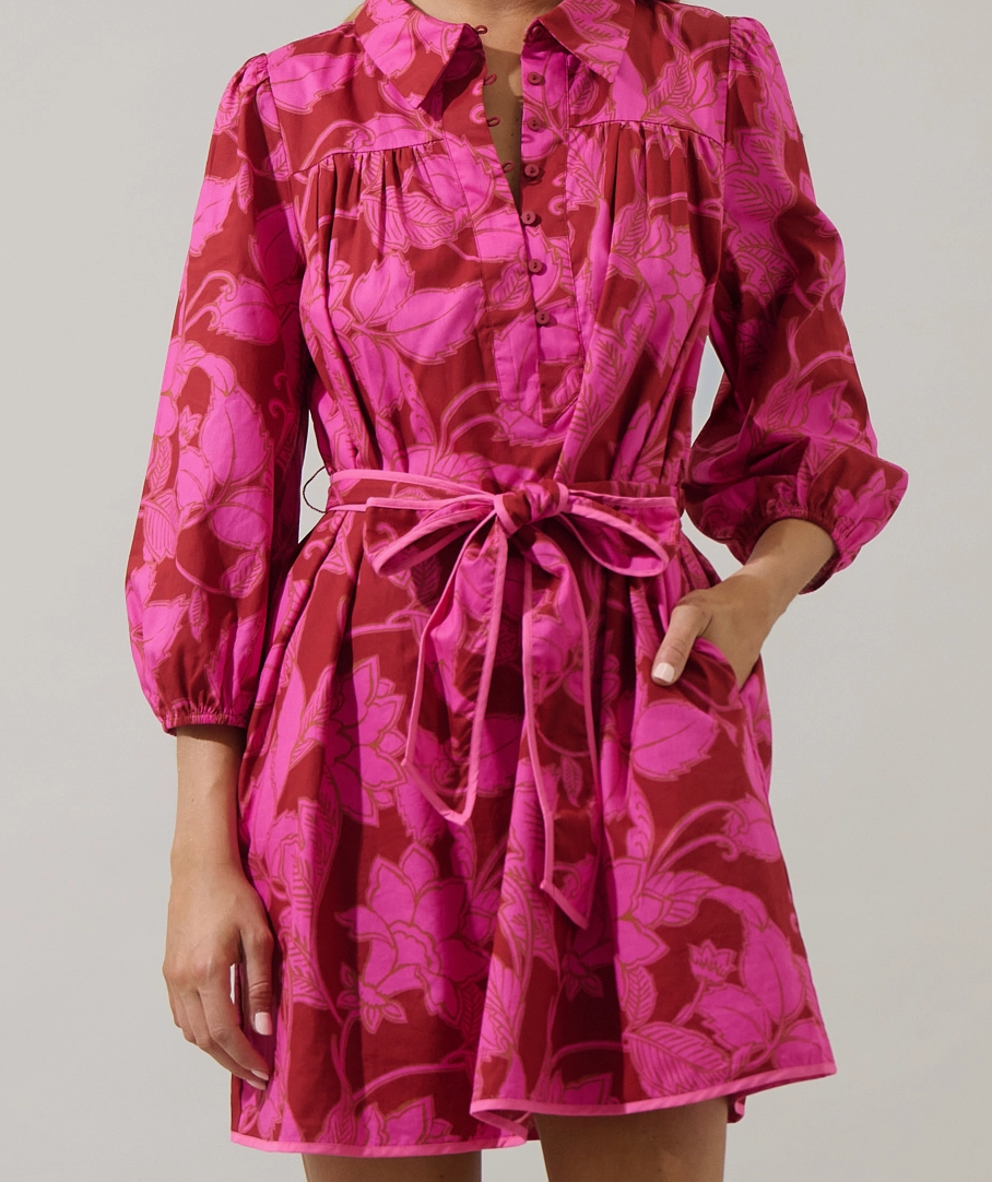 Craney Floral Raven Collared Mini Dress