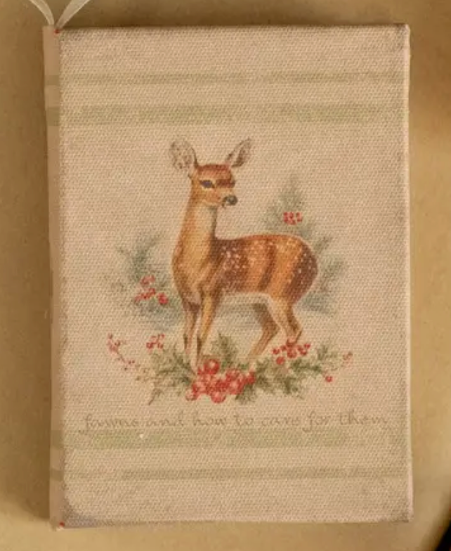 Fawns and How to Care for Them Journal Ornament