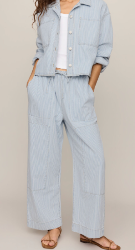 Z Supply Carpenter Pant