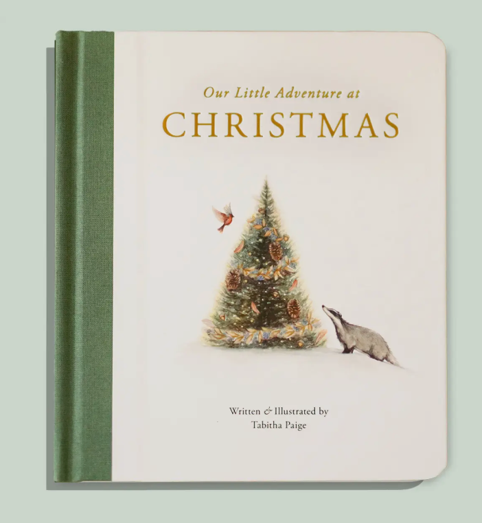 Our Little Adventure At Christmas Book