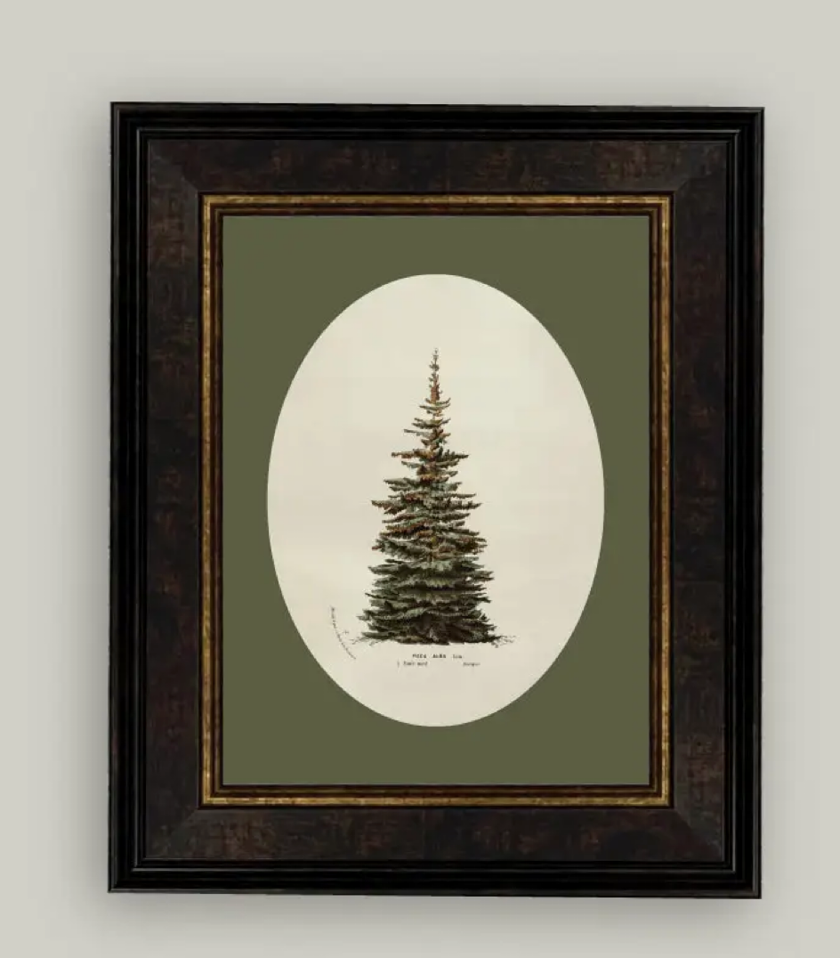 Forest Tree Print