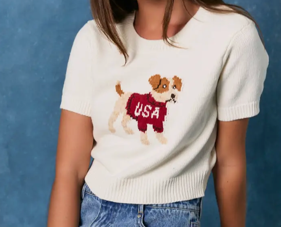 USA Puppy Sweater
