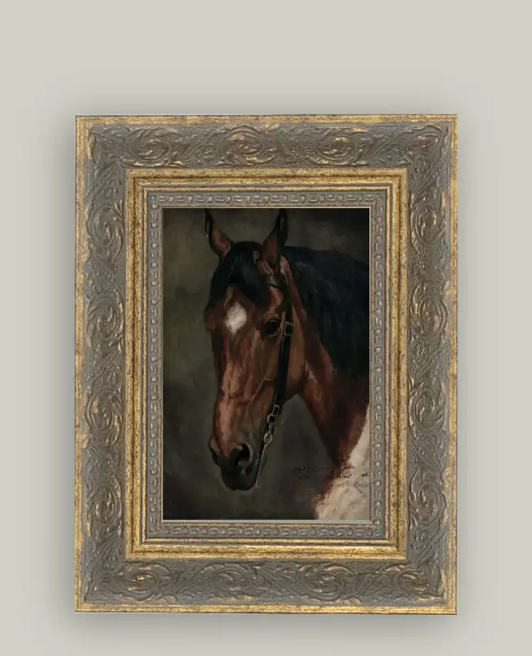 Horse Portrait Framed Print