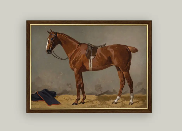 Framed Saddled Brown Horse Framed Print