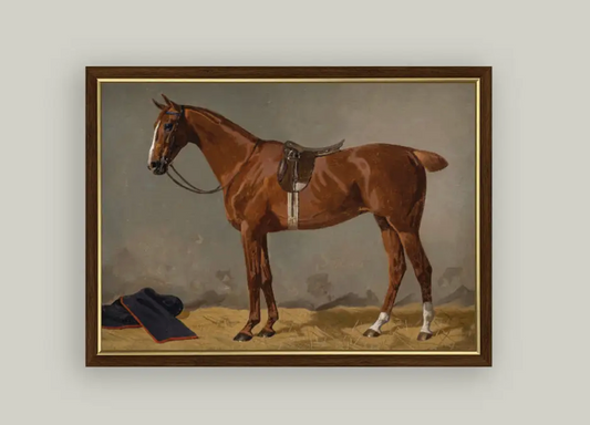 Framed Saddled Brown Horse Framed Print