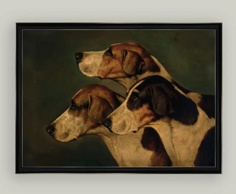 Three English Foxhounds Framed Print