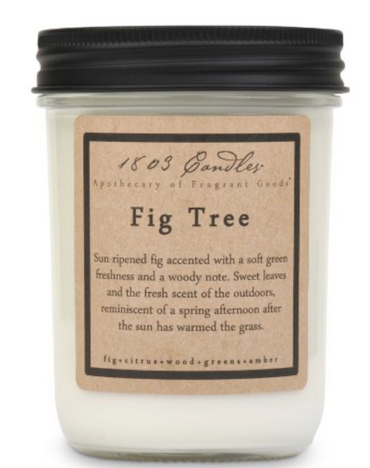 Fig Tree