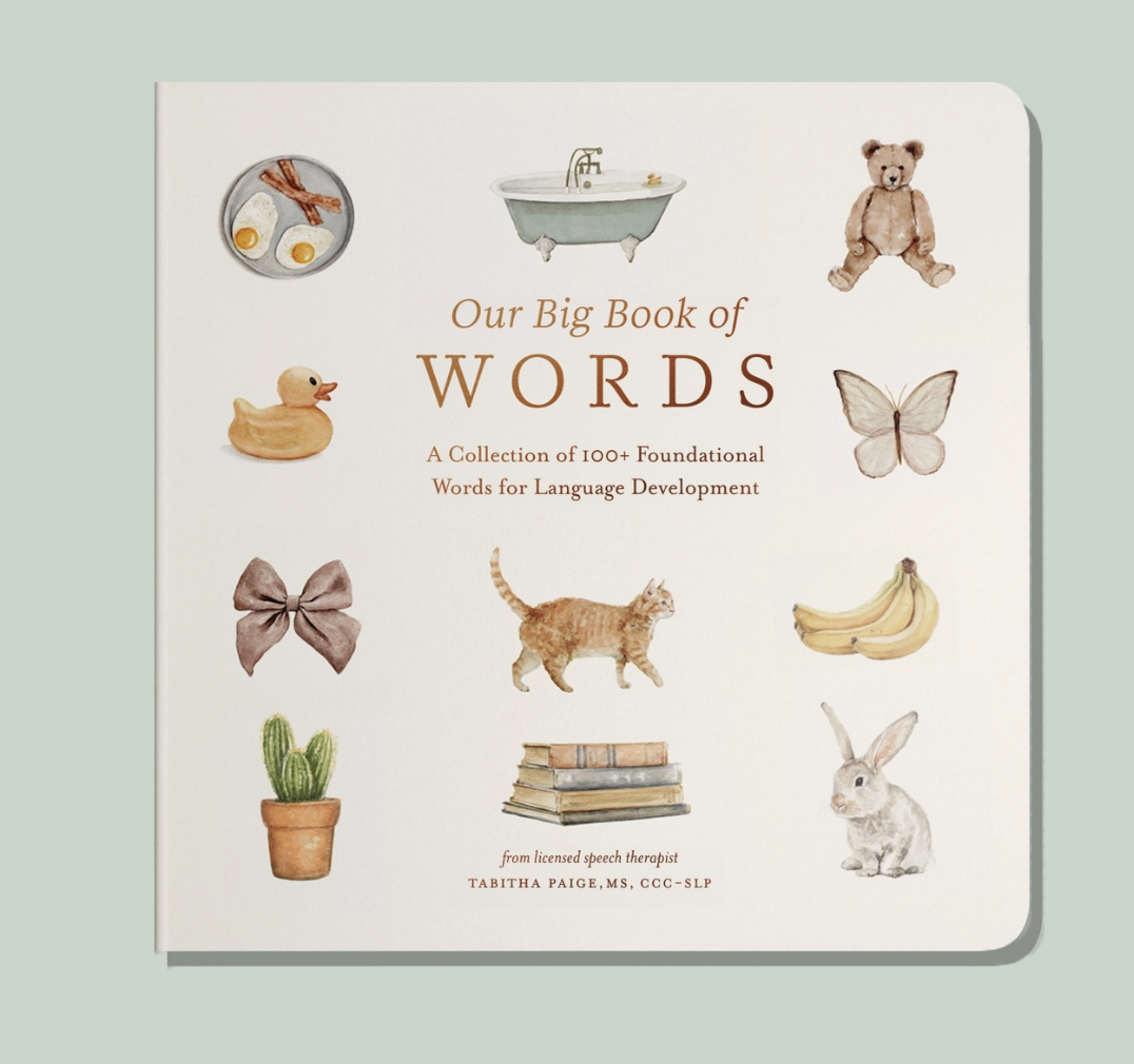 Our Big Book of First Words