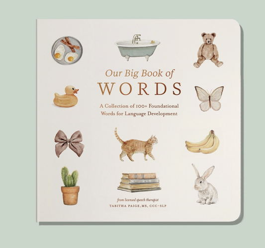 Our Big Book of First Words