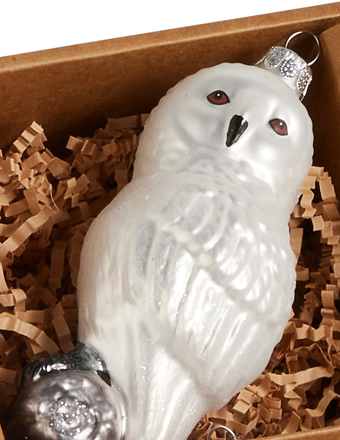 Winter Woodland Animal
